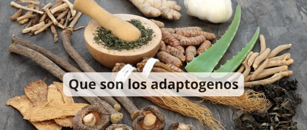 Adaptogenos para mujeres
