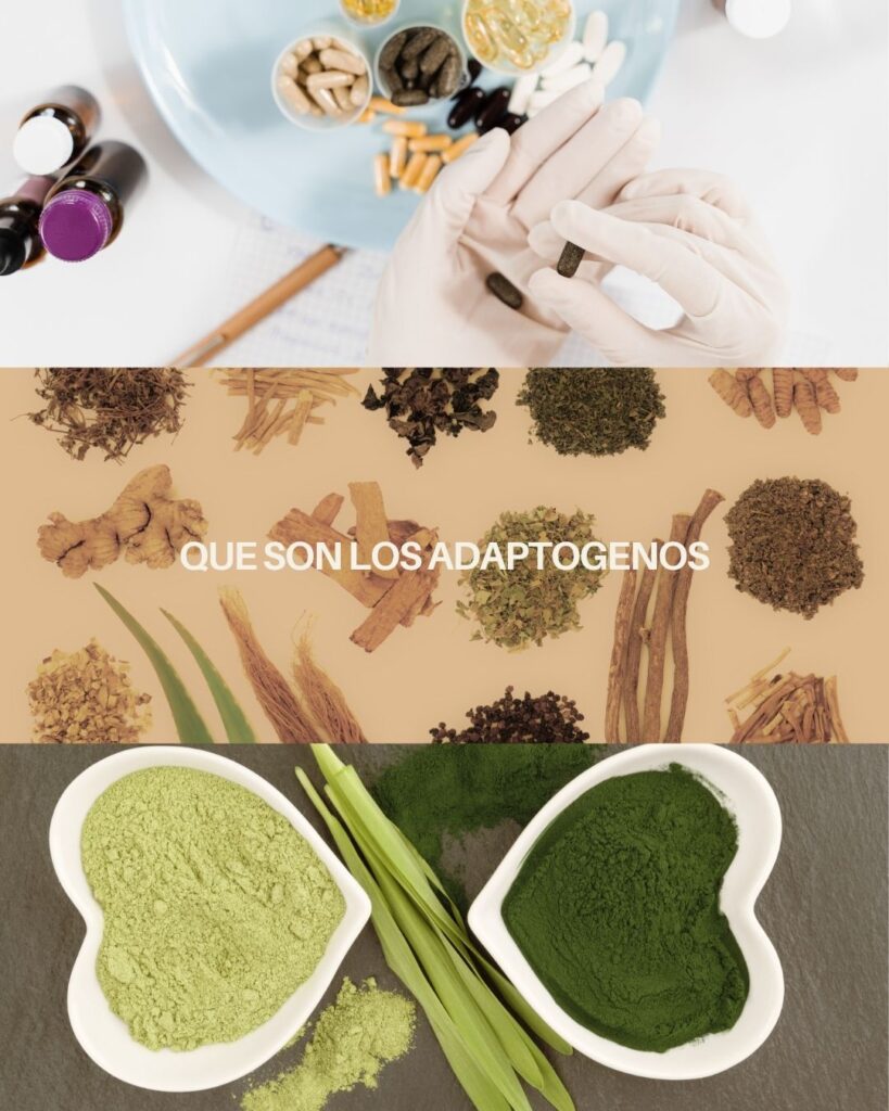 Adaptogenos